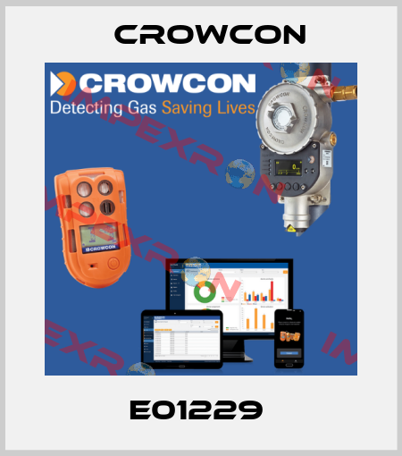 E01229  Crowcon