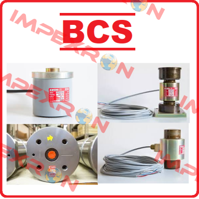 type CNX-100  Bcs