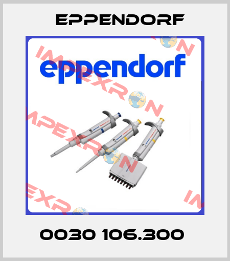 0030 106.300  Eppendorf