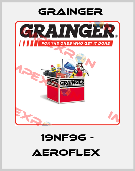 19NF96 - AEROFLEX  Grainger