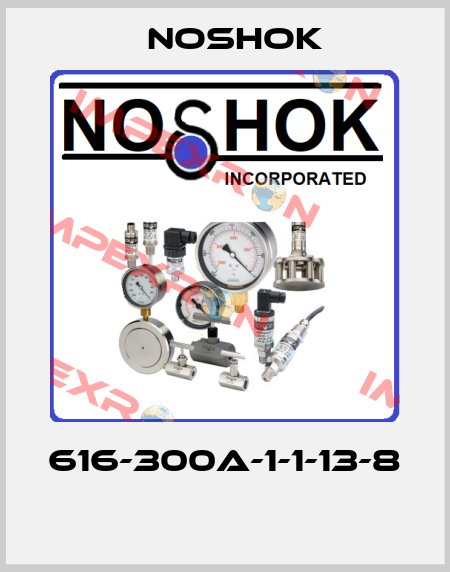 616-300A-1-1-13-8  Noshok