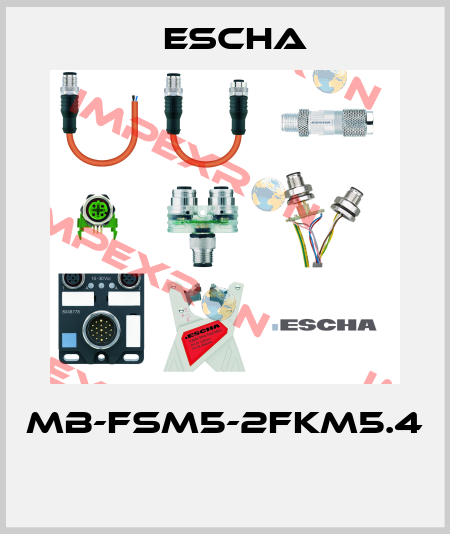 MB-FSM5-2FKM5.4  Escha