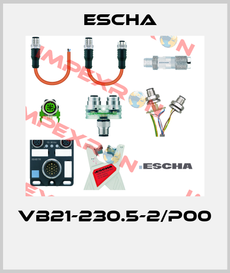 VB21-230.5-2/P00  Escha