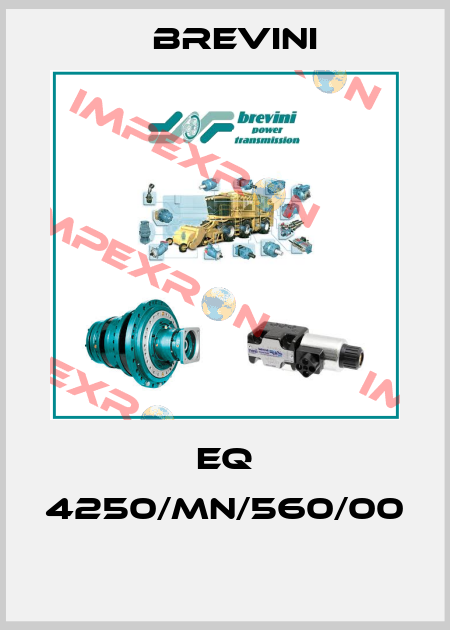 EQ 4250/MN/560/00  Brevini