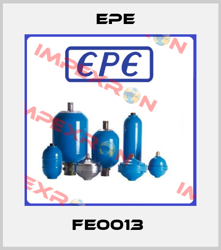 FE0013  Epe