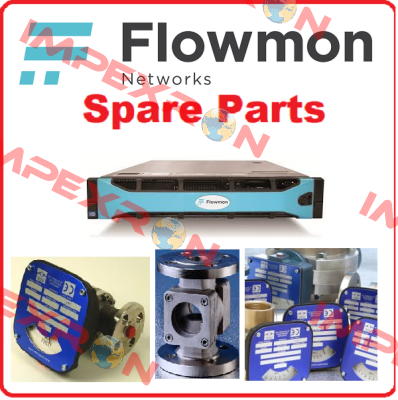 FMM-35-AL-LP-3EE-1CS-24W150-SI-D2  Flow-Mon