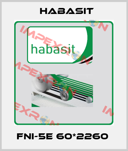 FNI-5E 60*2260  Habasit