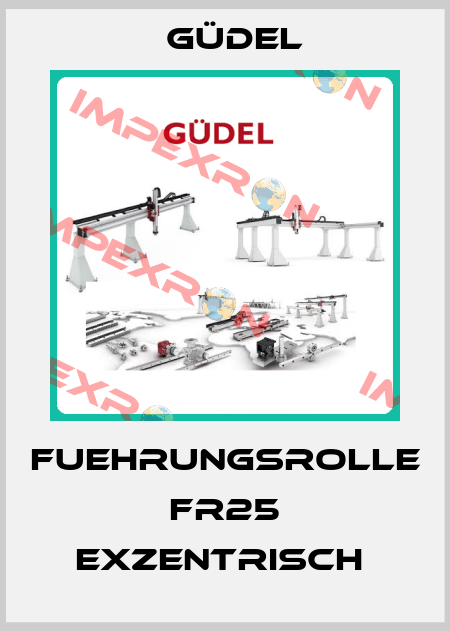 Fuehrungsrolle FR25 Exzentrisch  Güdel