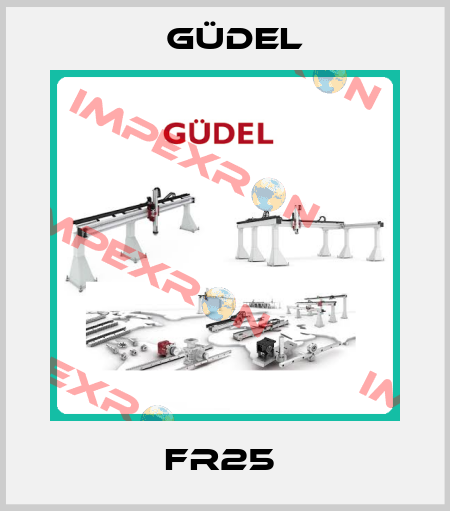 FR25  Güdel