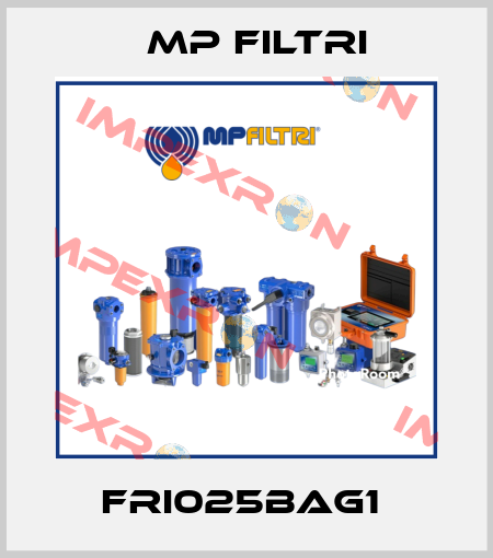 FRI025BAG1  MP Filtri