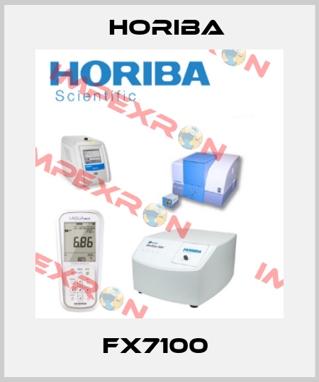 FX7100  Horiba