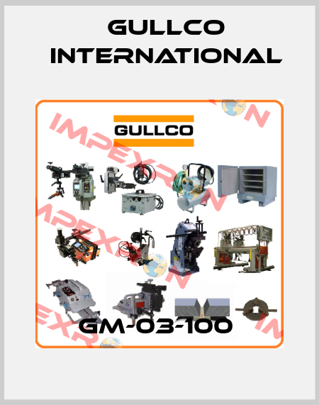 GM-03-100  Gullco International