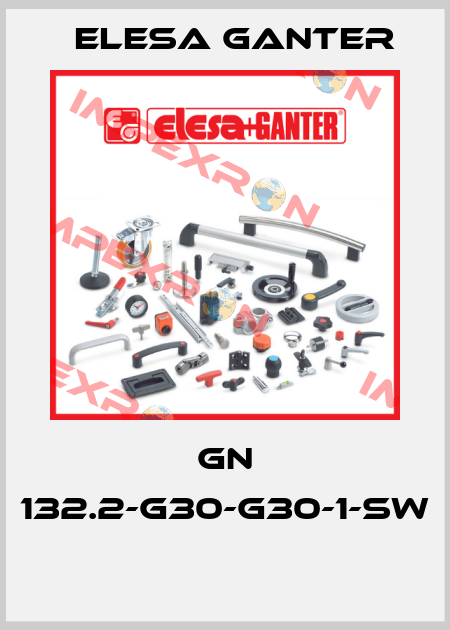 GN 132.2-G30-G30-1-SW  Elesa Ganter