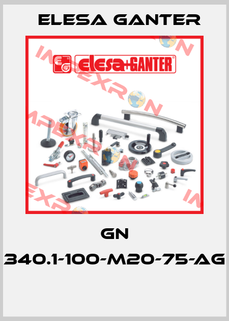 GN 340.1-100-M20-75-AG  Elesa Ganter
