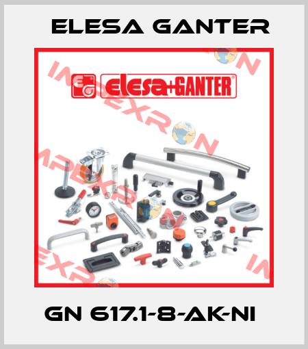GN 617.1-8-AK-NI  Elesa Ganter