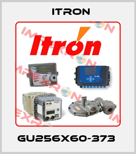 GU256X60-373  Itron