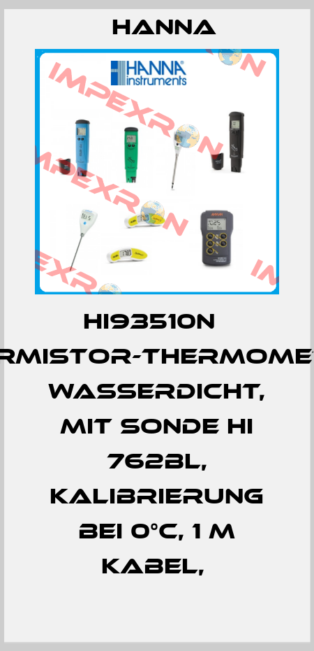HI93510N   THERMISTOR-THERMOMETER, WASSERDICHT, MIT SONDE HI 762BL, KALIBRIERUNG BEI 0°C, 1 M KABEL,  Hanna