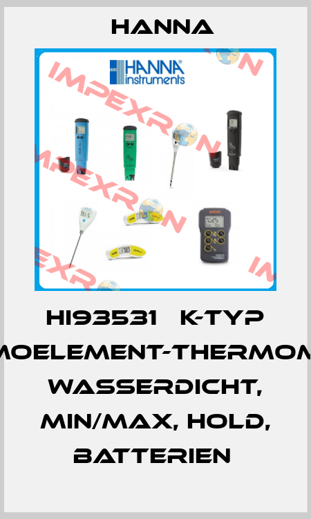 HI93531   K-TYP THERMOELEMENT-THERMOMETER, WASSERDICHT, MIN/MAX, HOLD, BATTERIEN  Hanna