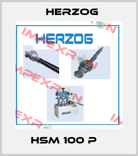 HSM 100 P    Herzog