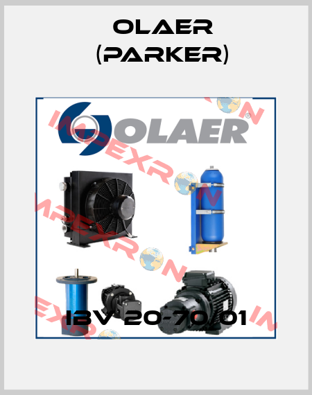 IBV 20-70/01 Olaer (Parker)