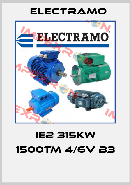 IE2 315KW 1500TM 4/6V B3  Electramo