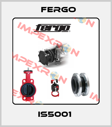 IS5001  Fergo