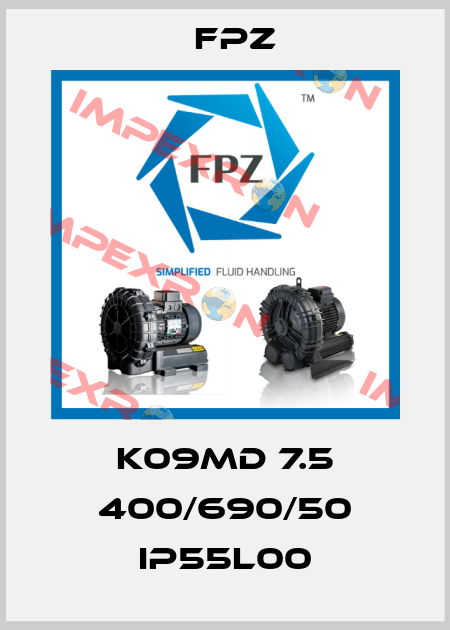 K09MD 7.5 400/690/50 IP55L00 Fpz