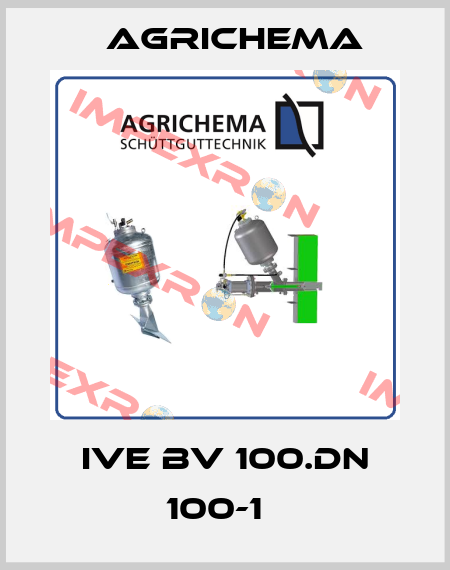 IVE BV 100.DN 100-1   Agrichema