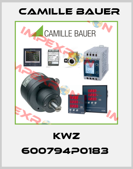 KWZ 600794P0183  Camille Bauer