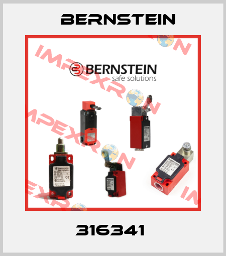 316341  Bernstein
