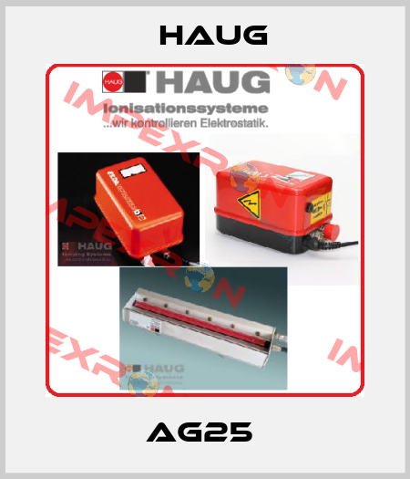 AG25  Haug