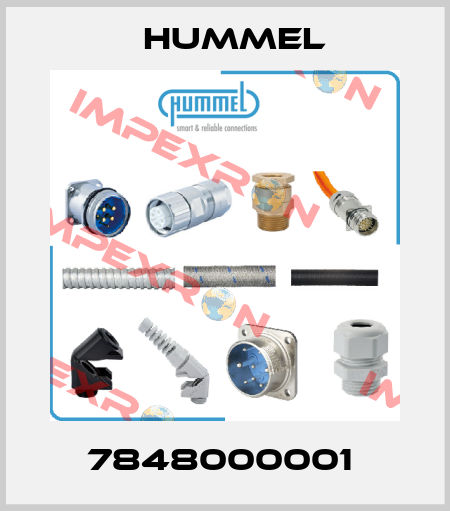 7848000001  Hummel