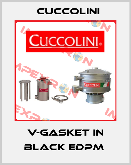 V-Gasket in black EDPM  Cuccolini