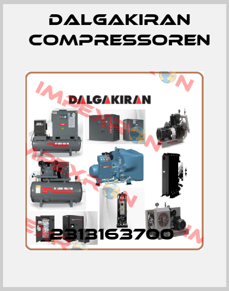 2313163700  DALGAKIRAN Compressoren