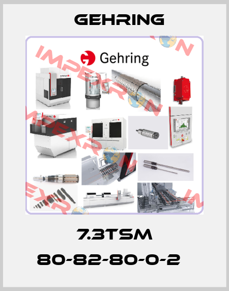 7.3TSM 80-82-80-0-2   Gehring