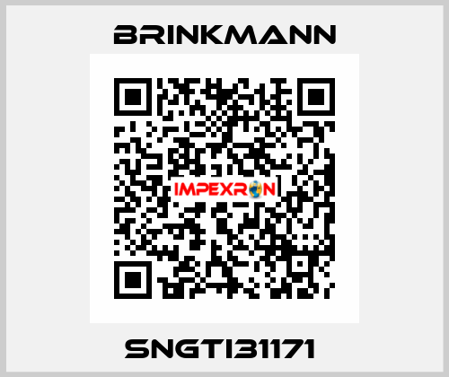 SNGTI31171  Brinkmann