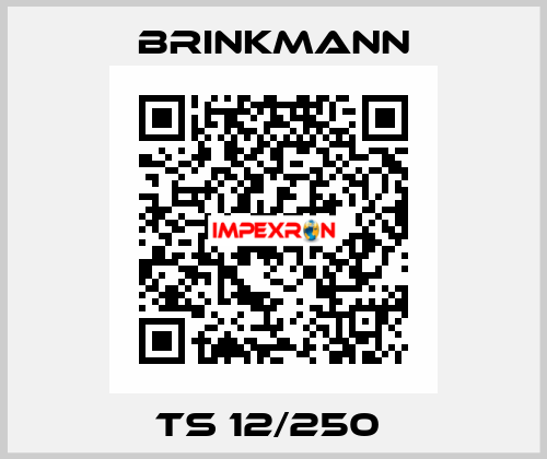 TS 12/250  Brinkmann