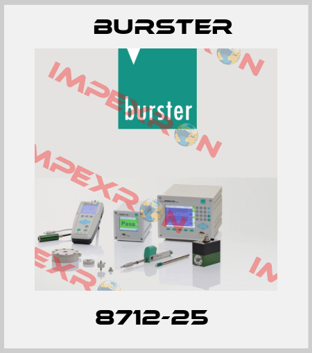8712-25  Burster