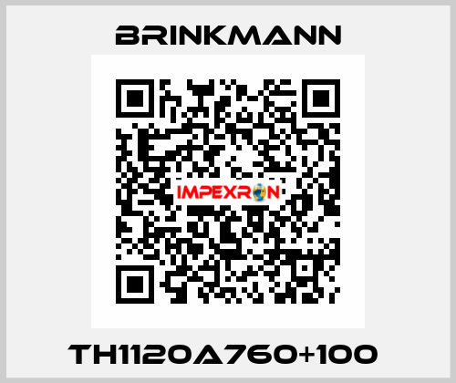 TH1120A760+100  Brinkmann