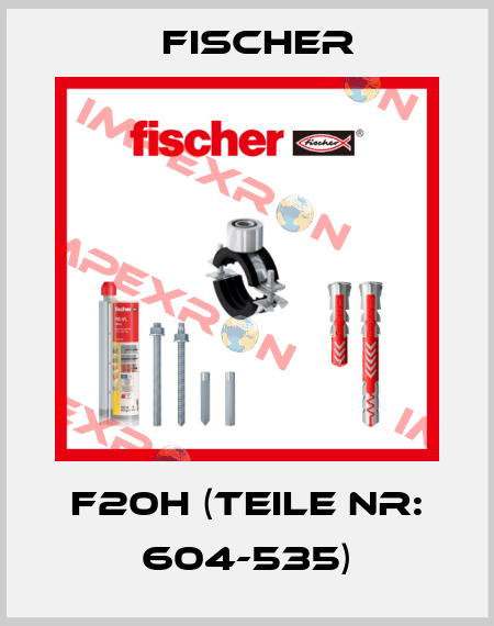 F20H (Teile Nr: 604-535) Fischer
