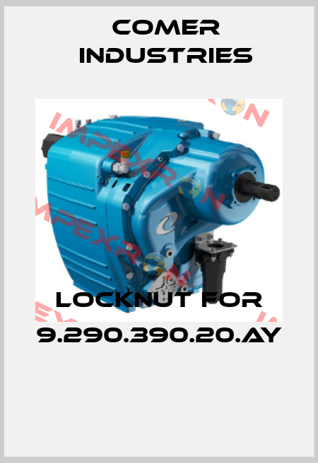LOCKNUT FOR 9.290.390.20.AY  Comer Industries