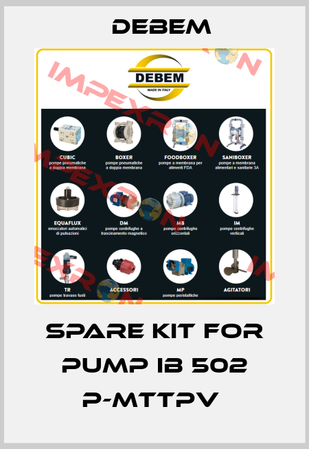 Spare Kit For Pump IB 502 P-MTTPV  Debem