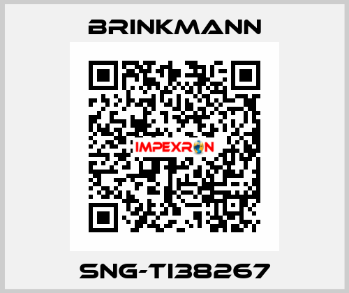 SNG-TI38267 Brinkmann