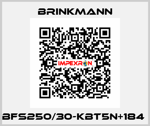 BFS250/30-KBT5N+184  Brinkmann