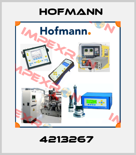 4213267  Hofmann