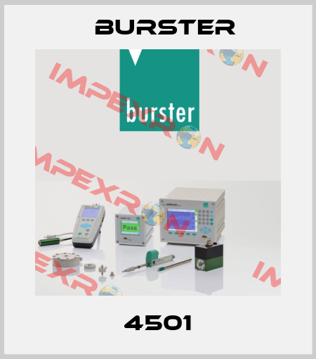 4501 Burster
