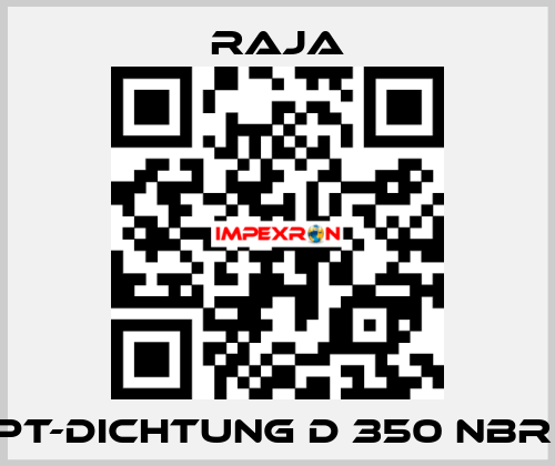 PT-Dichtung D 350 NBR  Raja