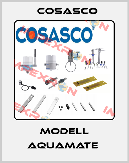 Modell Aquamate  Cosasco
