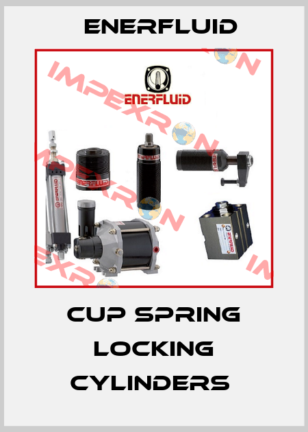 Cup Spring Locking Cylinders  Enerfluid