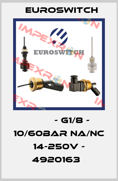 РНММ - G1/8 - 10/60bar NA/NC 14-250V - 4920163   Euroswitch